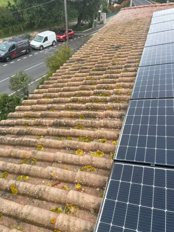 Accumulation de mousses sur une toiture en tuiles canal à Ollioules avant nettoyage