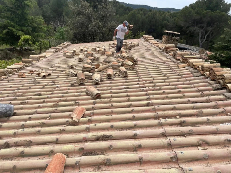 Dépose tuiles anciennes La Garde